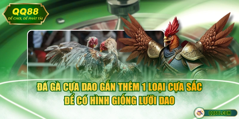 Đá gà cựa dao gắn thêm 1 loại cựa sắc để có hình giống lưỡi dao