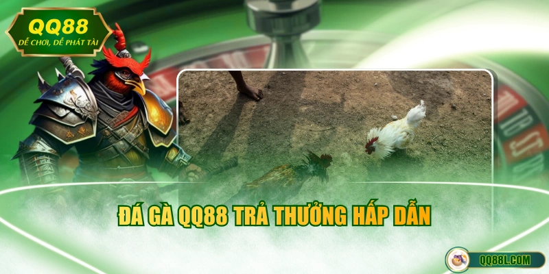 Đá gà QQ88 trả thưởng hấp dẫn