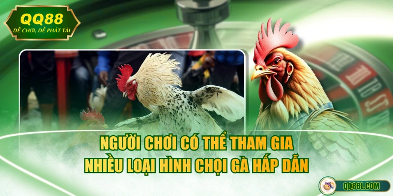 Người chơi có thể tham gia nhiều loại hình chọi gà hấp dẫn